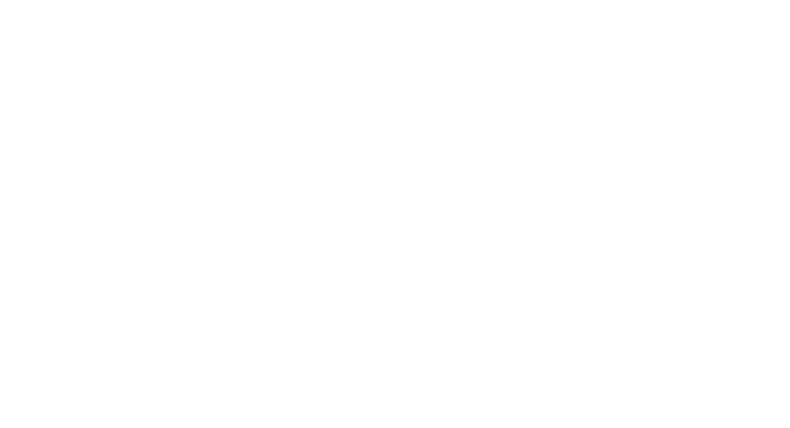 하이존이 키우는