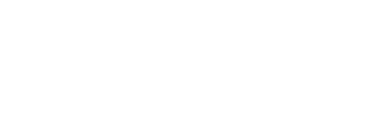 하이존이 키우는